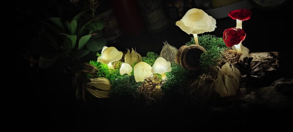 Tiphaine Paré - La Faebrik - Décoration champignons