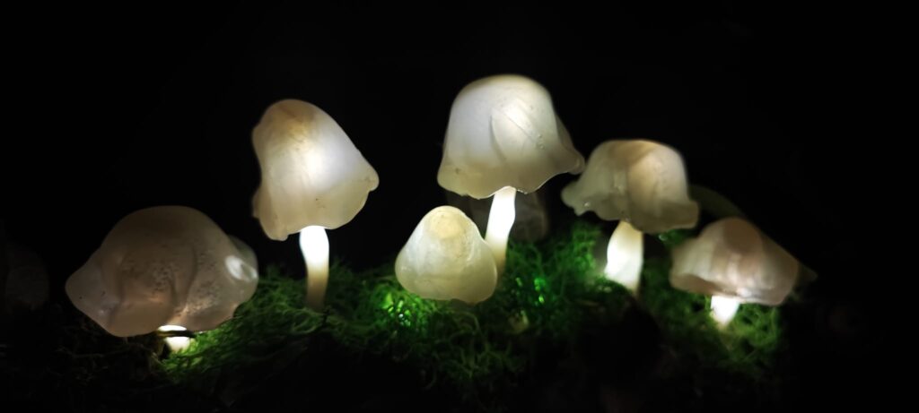 Tiphaine Paré - La Faebrik - Décoration champignons