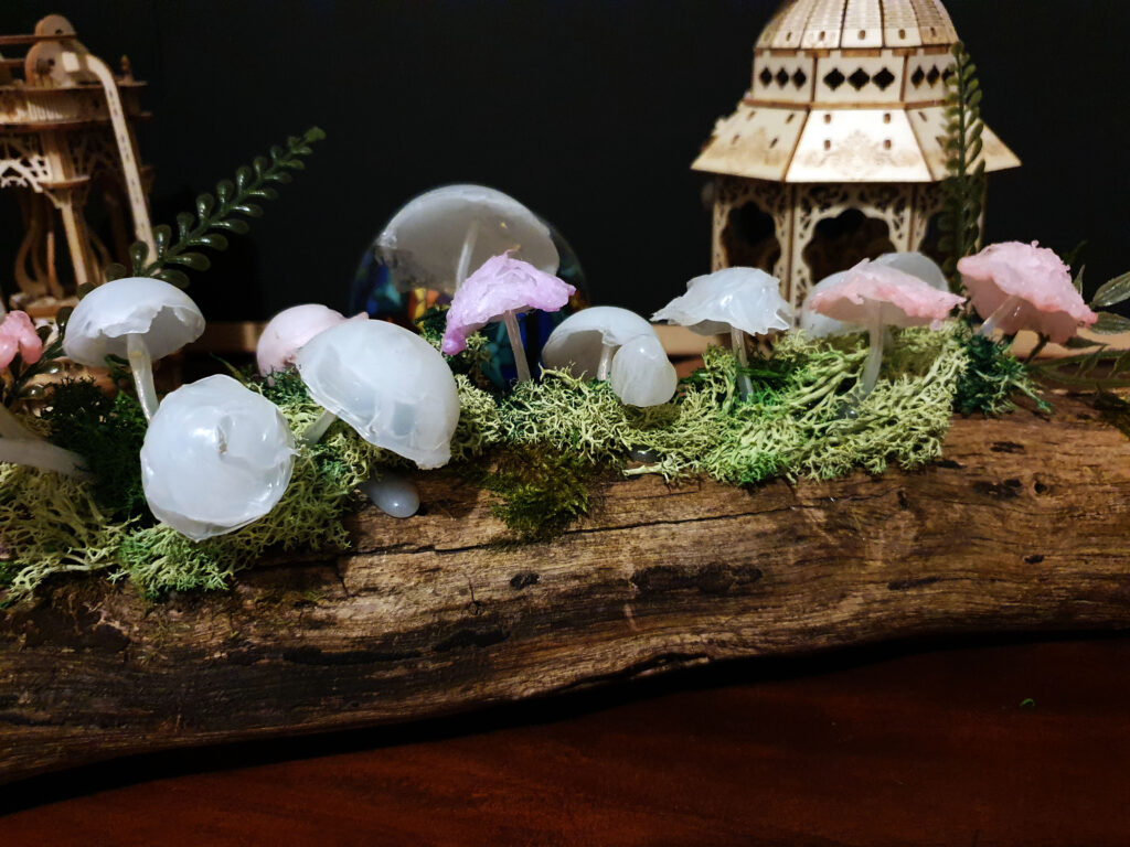 Tiphaine Paré - La Faebrik - Chemin de table - Champignons