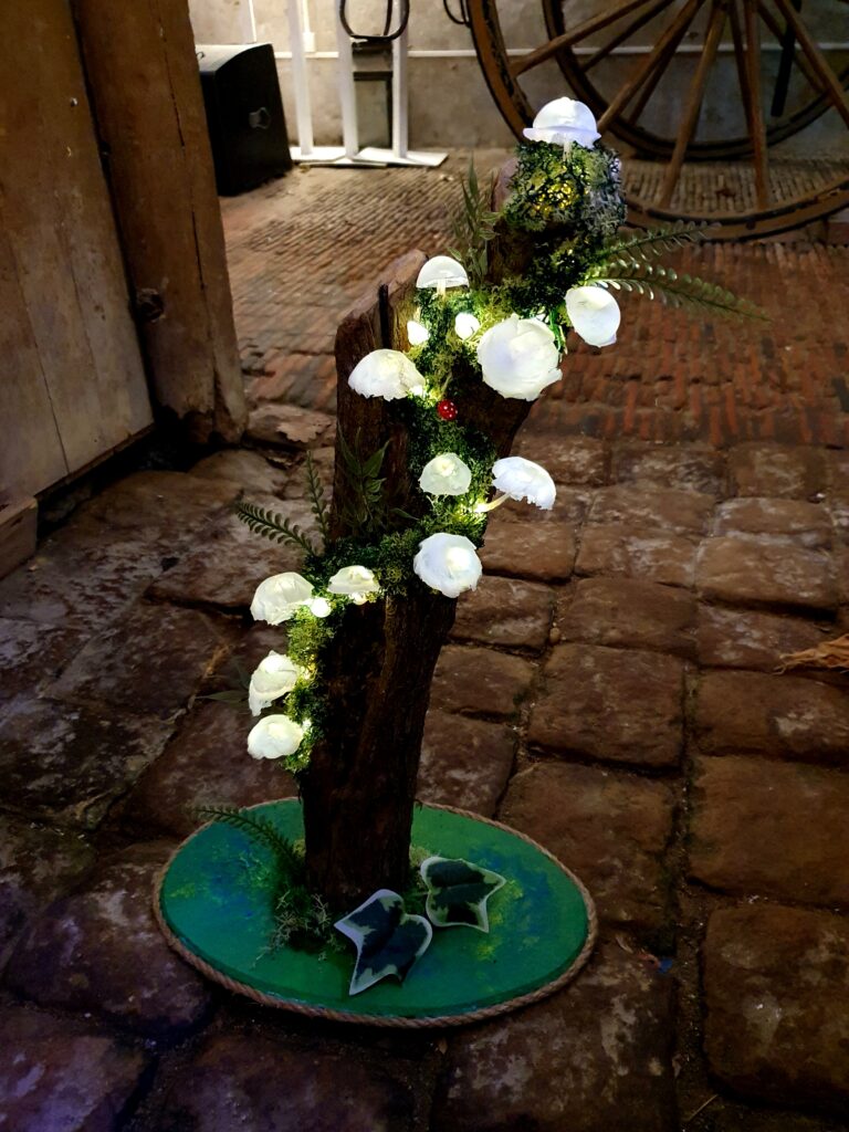 Tiphaine Paré - La Faebrik - Arbre - Champignons